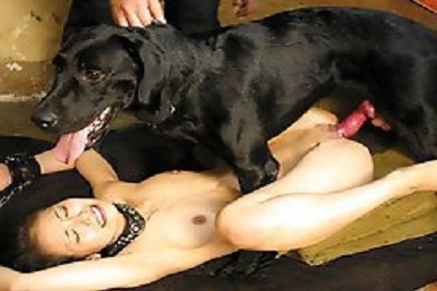 college fuck big cock gif glory hole ithaca ny